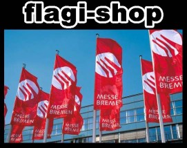Flagi na zamówienie reklamowe firmowe LOGO 100x300 cm - Hurtownia Flag Monika Lidzbarski Rumia