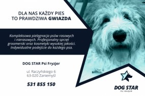 Projekt baneru - GentleAd Piotr Górski Magdalena Krupska Włodzimierz Kurowski spółka cywilna Poznań