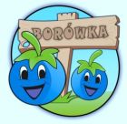 zbiory owoców borówki 2017 już się zaczeły.Za