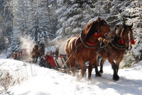 Kulig z wieczorem góralskim 24.02.2018 - Biuro Podróży MAXIM FOSTERTRAVEL oddział Krynica - Zdrój Krynica-Zdrój