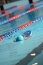 nauka pływania dla dzieci i dorosłych Gdynia - MERLIN Szkoła Pływania Grzegorz Chorzelewski