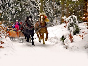 Kulig z ogniskiem przy muzyce regionalnej - 30.12.2017 - Biuro Podróży MAXIM FOSTERTRAVEL oddział Krynica - Zdrój Krynica-Zdrój