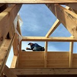 impregnacje przeciwpożarowe - BeSafe S.C. Warszawa