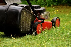 Koszenie trawników - Antoś Usługi Ogrodnicze Rzeszów