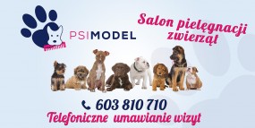Strzyżenie psów - PSI MODEL Ostróda