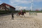 Nauka jazdy konnej Niegardów-Kolonia - Ośrodek Jeździecki FARUK