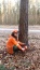 Wycinka drzew Formowanie i przycinanie drzew - Świnoujście P.H.U. Sebastian Rutkowski