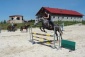 Klub Jeździecki FARUK Trening jeździecki dla zaawansowanych - Niegardów-Kolonia Ośrodek Jeździecki FARUK