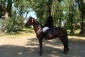 Trening jeździecki dla zaawansowanych Niegardów-Kolonia - Ośrodek Jeździecki FARUK