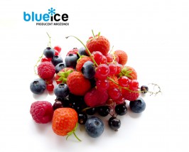 Mrożonki owocowe - BLUE ICE Sp. z o.o. Chłodnia. Producent Mrożonek Rząchowa