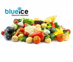 Mrożonki warzywne Rząchowa - BLUE ICE Sp. z o.o. Chłodnia. Producent Mrożonek