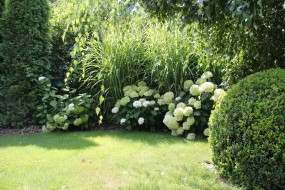 zakładanie ogrodów, projektowanie - Garden Form Katarzyna Czaja Mierzyn