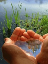 Woda antyoksydacyjna - Woda życia - Sanum per Aquam Leżajsk