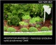 Architektura, Kreacje zieleni Aranżacja ogrodów - Jaworzno SZC SERVICE