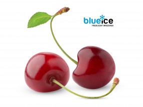 Mrożona wiśnia - BLUE ICE Sp. z o.o. Chłodnia. Producent Mrożonek Rząchowa