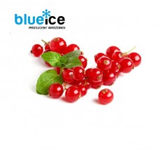 Mrożona porzeczka czerwona - BLUE ICE Sp. z o.o. Chłodnia. Producent Mrożonek Rząchowa
