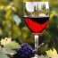 Mołdawia - święto wina - Biuro Turystyczne QUAND Tomaszów Lubelski