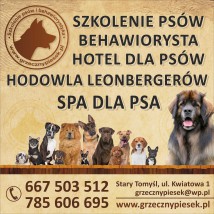 behawiorysta ,zoopsycholog ,szkolenie psów - Szkolenie Psów Stary Tomyśl