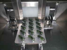 Deblistkarka - Biuro Techniczne POMAFA Korzeń i Wspólnicy Sp.j. Jankowo