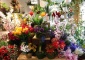 Kwiaciarnia Lotos - Bartykowska Maria, Wąsowicz Iwona - Kwiaty, art. Dekoracyjne Knurów - Kompozycje kwiatowe