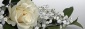 Oprawa kwiatowa imprez Kwiaciarnia - Knurów Kwiaciarnia Lotos - Bartykowska Maria, Wąsowicz Iwona - Kwiaty, art. Dekoracyjne