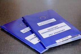 Paszport dla kota - Gabinet Weterynaryjny MULTIMED Siemianowice Śląskie