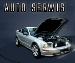 Mechanika pojazdowa - Auto Serwis Pomoc Drogowa Zbigniew Raczyński Bochnia