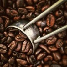 Kawa ziarnista - Coffee World PM Tarnów