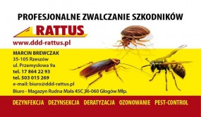 ZWALCZANIE  USUWANIE GNIAZD SZERSZENI OS - F.H.U. RATTUS Dezynfekcja-Dezynsekcja-Deratyzacja Marcin Brewczak Rzeszów