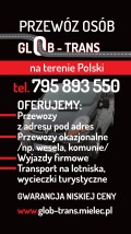 Wynajem busa 6 miejscowego z kierowcą - GLOB-TRANS Paweł Bajor Mielec