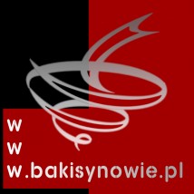 Wideofilmowanie - Pracownia Fotografii i Filmu BĄK I SYNOWIE Dąbrowa Tarnowska