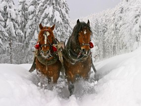 Wigilia Firmowa Christmas Party - MMK BHU 4impulse Gliwice