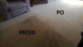 Pranie/ czyszczenie dywanów, wykładzin - NORSK Piotr Wolnik Poznań