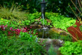 Elementy wodne w ogrodzie - JBGardens Świętochłowice