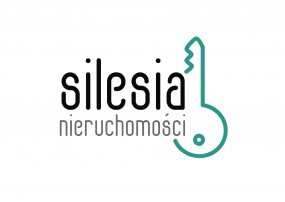 usługi transportowe - Silesia Nieruchomości Sp.z o.o. Katowice