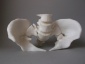 druk 3D Druk 3D - Częstochowa Drukarnia 3D GOLEM