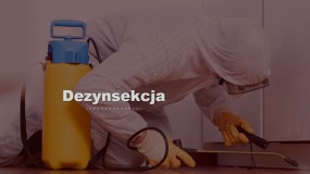 Dezynsekcja - Zakład Dezynsekcji Dezynfekcji i Deratyzacji Bartłomiej Kuś Lubin