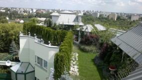 Zakładanie ogrodów,projektowanie ogrodów, projektowanie zieleni - GREEN MEDIA Artur Bakanowski Warszawa
