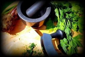 Warsztaty z cyklu  Porozmawiajmy o zdrowiu  - Mikołowski Ośrodek Szkoleń i Terapii MOST Mikołów