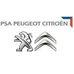 Skup katalizatorów Peugeot - Ecotrade Group Poland Sp. z o.o. Polkowice