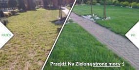Regeneracja - Na-Zielono - Trawnik to Nasza Specjalność Kraków