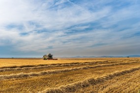 Wypełnianie wniosków o dopłaty bezpośrednie - Doradztwo Rolnicze Mariola Rożek Nowe Miasto Lubawskie