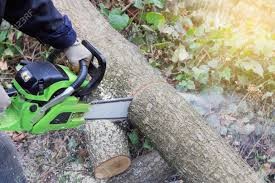 Kurs piły spalinowe - Ośrodek Szkoleń Orent Toruń