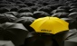 Zielona Góra Aidea agencja reklamy - parasole reklamowe, parasole z nadrukiem