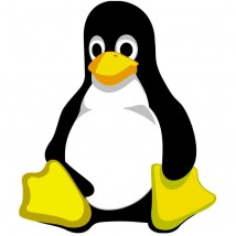 System operacyjny Linux -  bs247  Kazimierz Izdebski Krzesk-Królowa Niwa