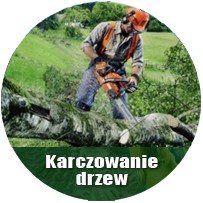 Karczowanie i oczyszczanie terenu - SYLKOP Sylwester Litwin Mosty