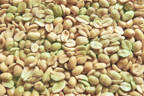 orzech arachidowy - P.U.H. AGA   Zaopatrzenie piekarni i cukierni Będzelin