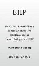 Protokół wypadkowy - Usługi BHP Stronie Śląskie Stronie Śląskie