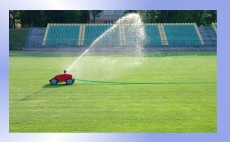 Opryski chemiczne - WYMARZONY OGRÓD Konin