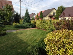 Zakładanie trawników z rolki - Home & Garden SERVICE Chojna
